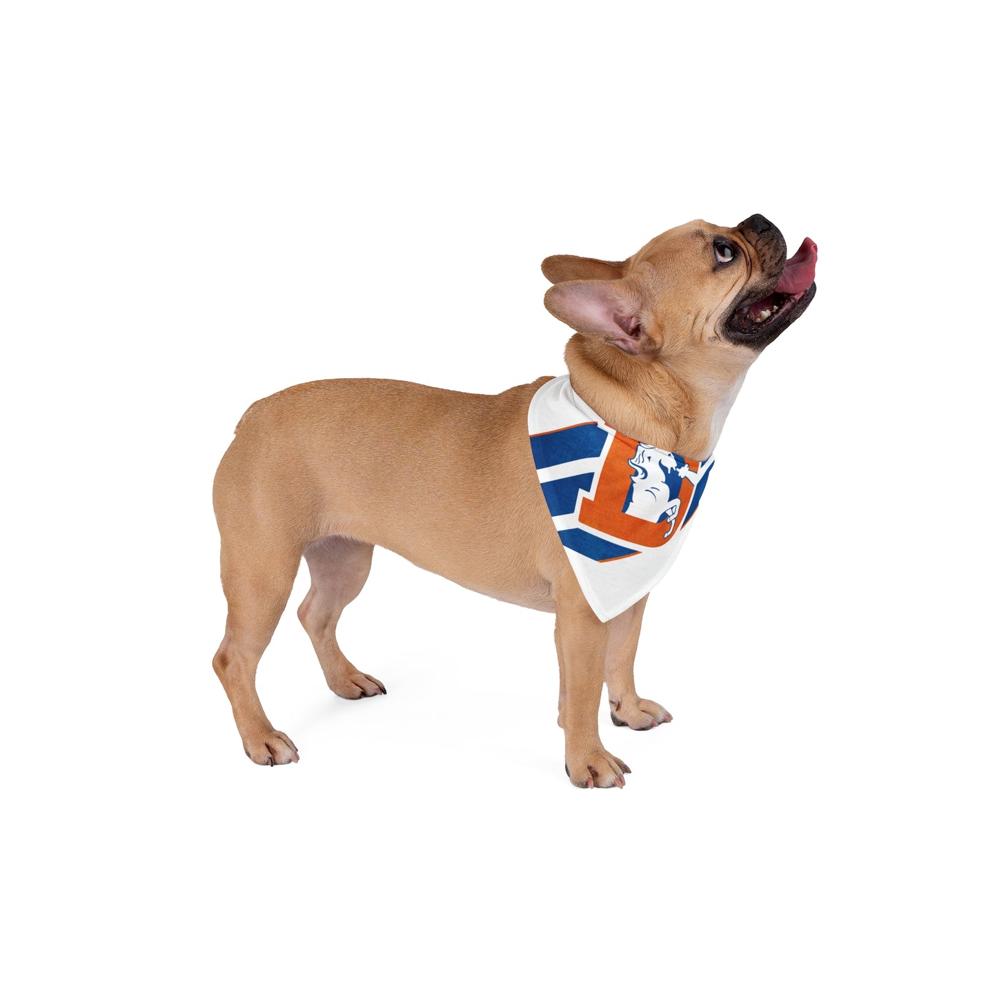 Bronco Pet Bandana