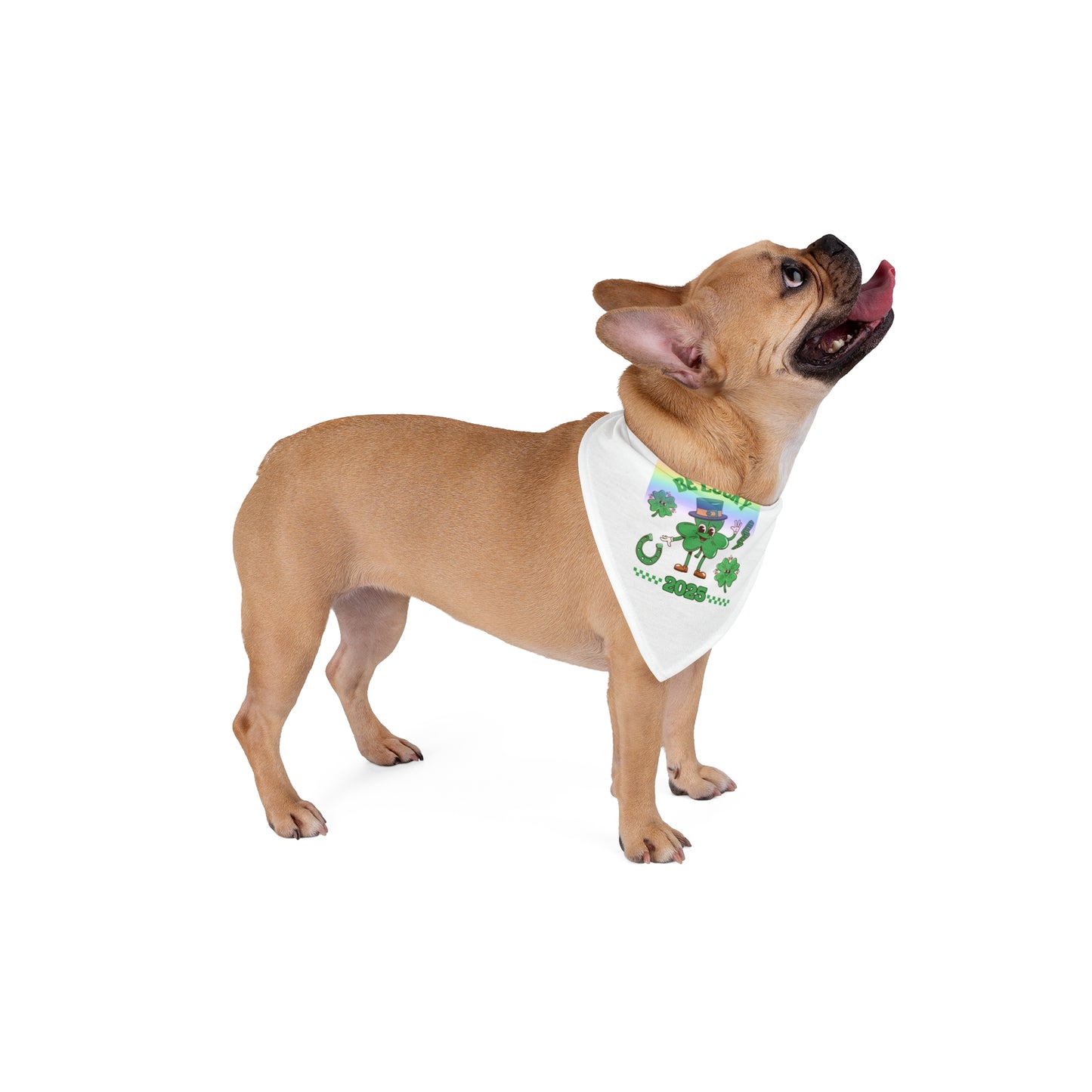 Pet Bandana, St Patrick's Day 2025 Lucky Charms, Dog Bandana, Lucky Clover Scarf, Pet Neckwear, Irish Pet Accessories, Shamrock Print Pet