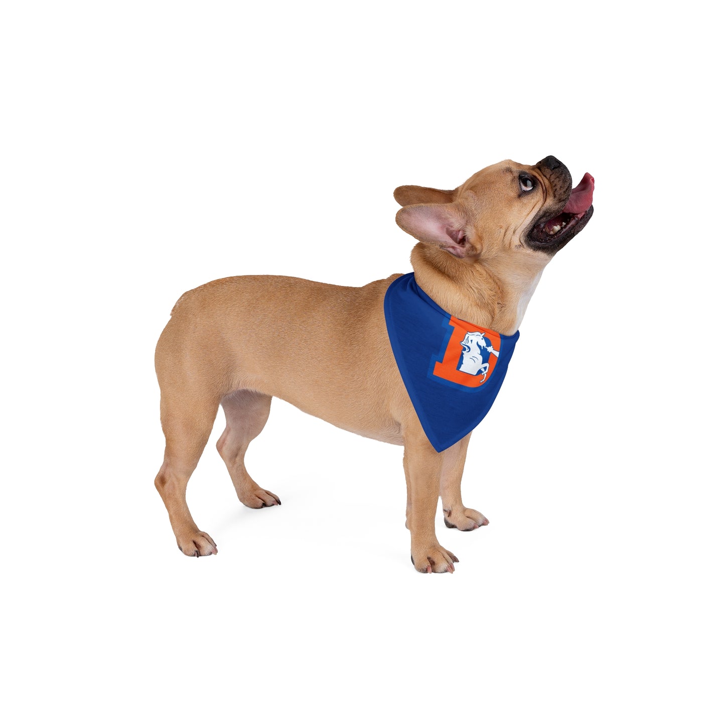 Pet Bandana, Denver Broncos Retro Dog Bandana, Football Team Pet Accessories, Game Day Dog Apparel, Sports Fans Pet Gift, NFL Theme Dog