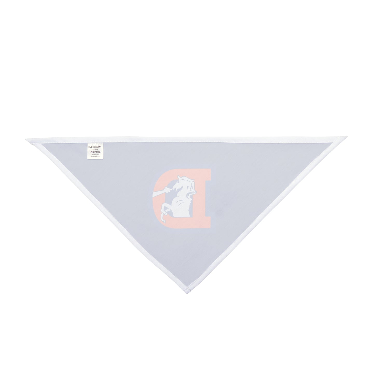 Pet Bandana, Denver Broncos Retro Dog Bandana, Football Team Pet Accessories, Game Day Dog Apparel, Sports Fans Pet Gift, NFL Theme Dog